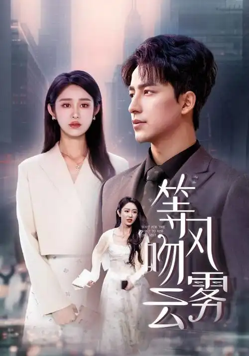 雾城迷案热播电视剧全集免费在线观看